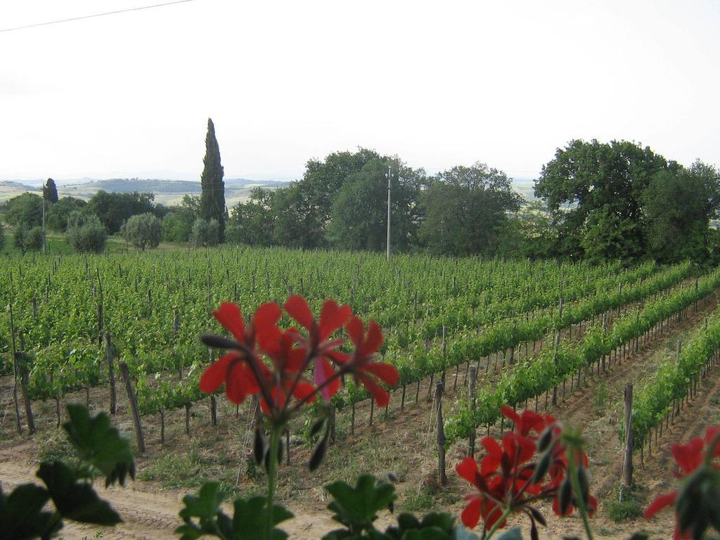 Antico Podere La Martinella San Quirico dʼOrcia Εξωτερικό φωτογραφία